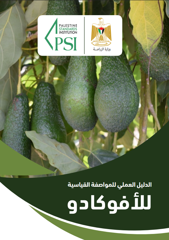 صورة الإصدار